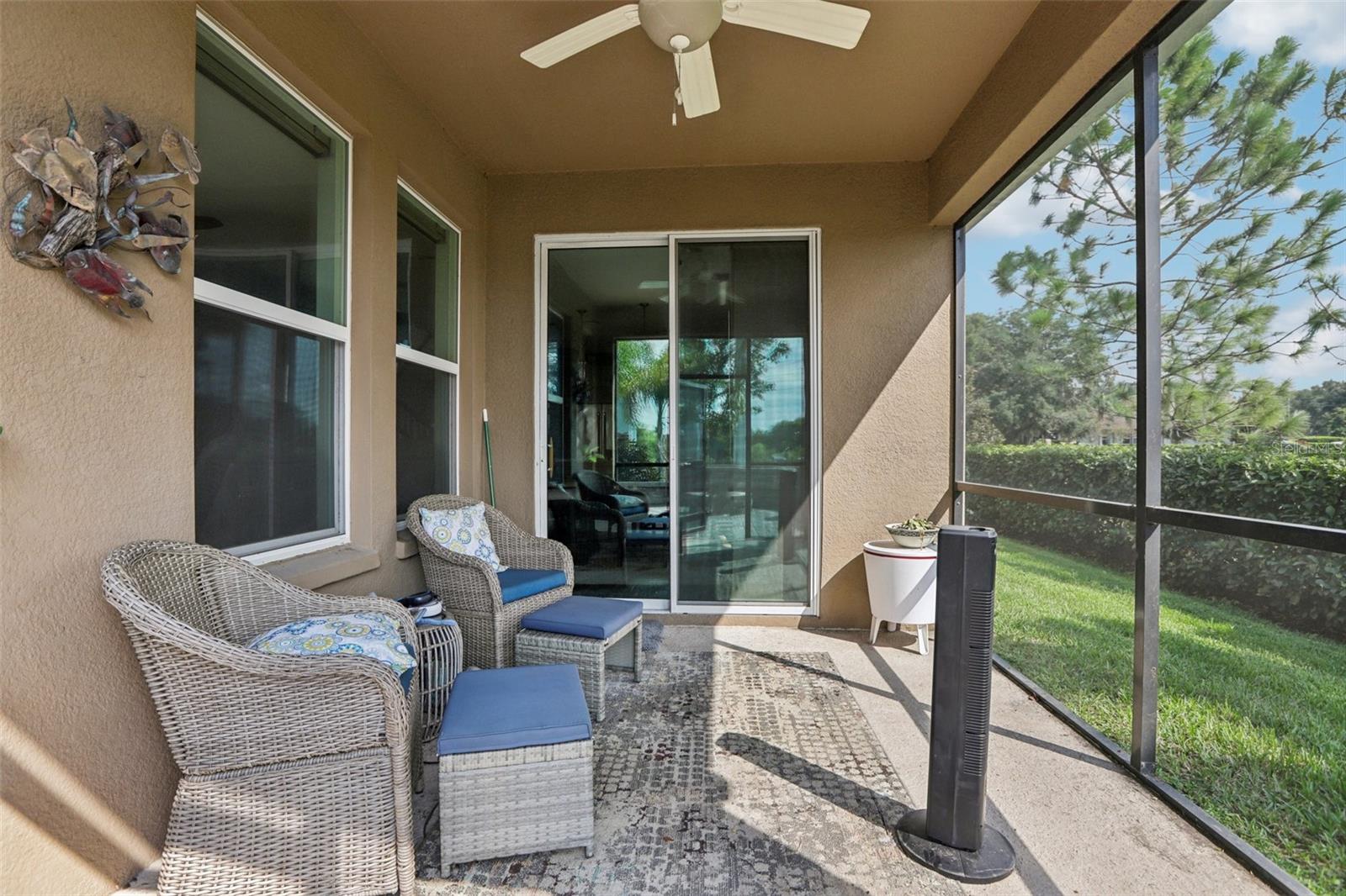 31014 KELMIN TER, WESLEY CHAPEL, FL, 33543