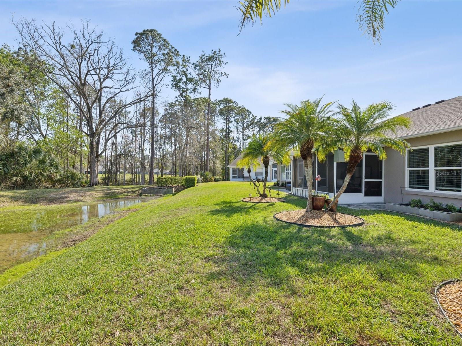 11532 HOLLY ANN DR, NEW PORT RICHEY, FL, 34654