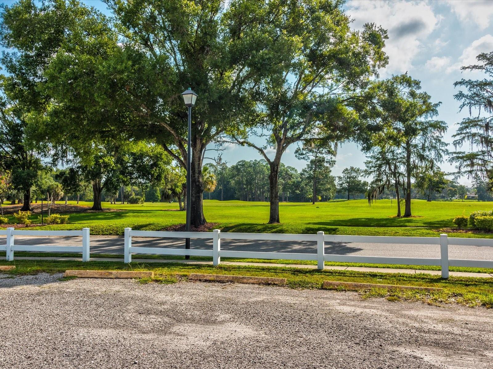 11532 HOLLY ANN DR, NEW PORT RICHEY, FL, 34654