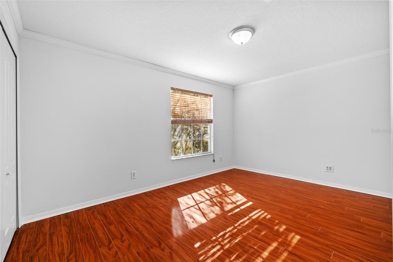 29833 CEDAR WAXWING DR, WESLEY CHAPEL, FL, 33545