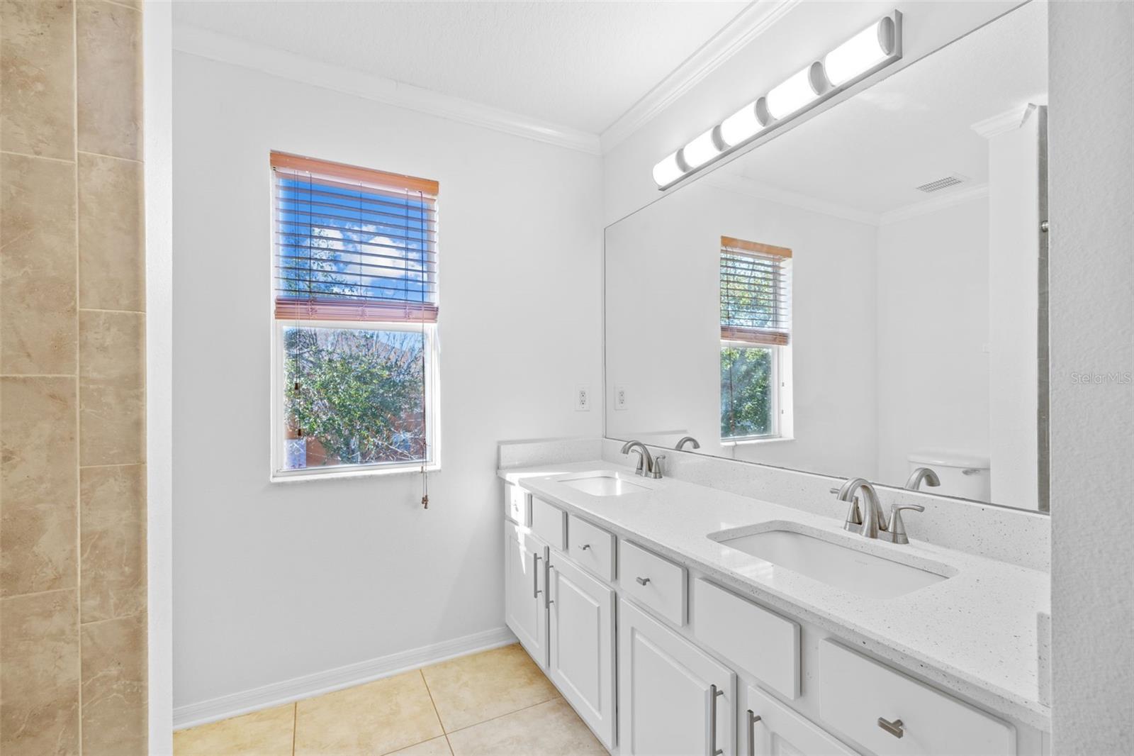 29833 CEDAR WAXWING DR, WESLEY CHAPEL, FL, 33545