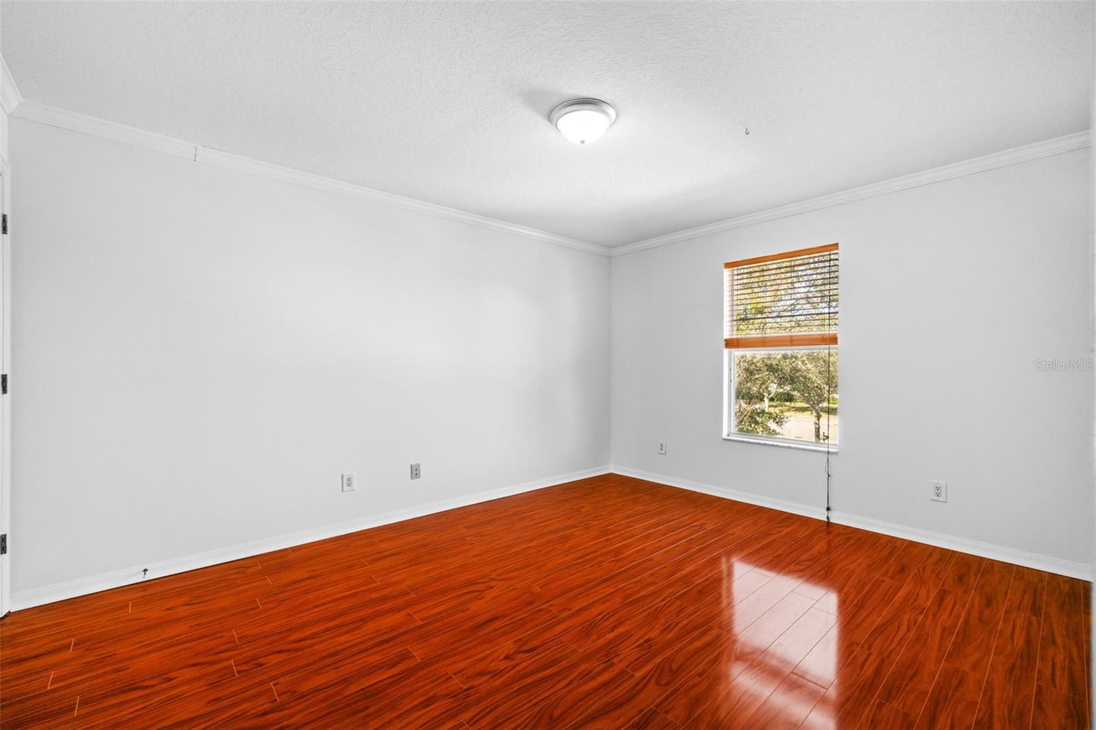 29833 CEDAR WAXWING DR, WESLEY CHAPEL, FL, 33545