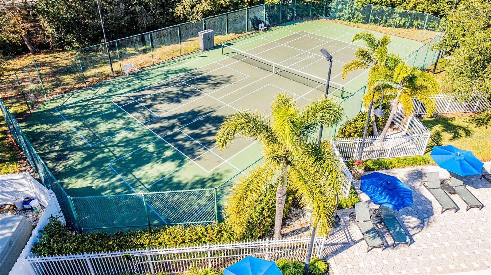 231 GOLDENRAIN DR #4304, CELEBRATION, FL, 34747