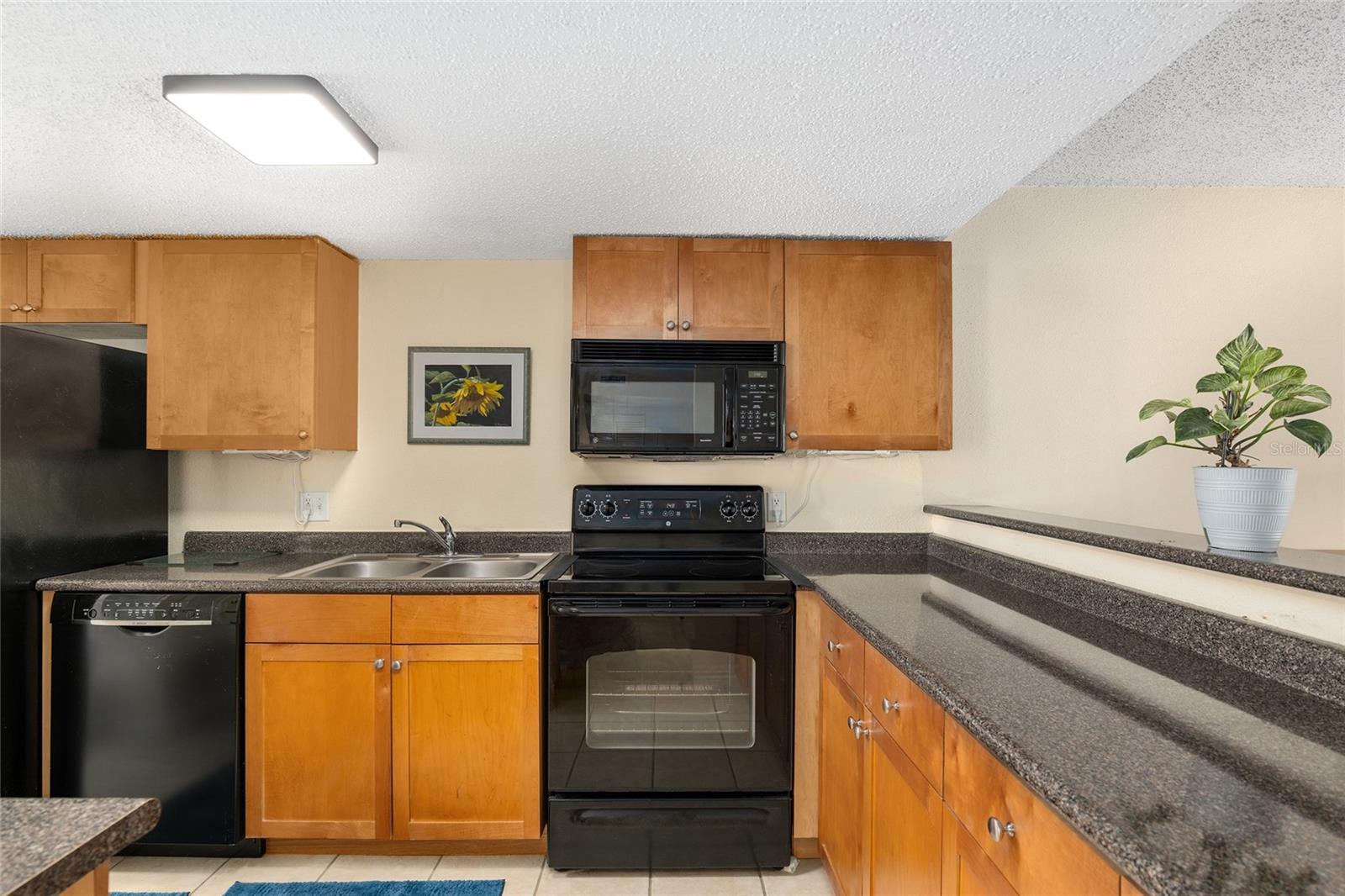 1810 NW 23RD BLVD #229A, GAINESVILLE, FL, 32605