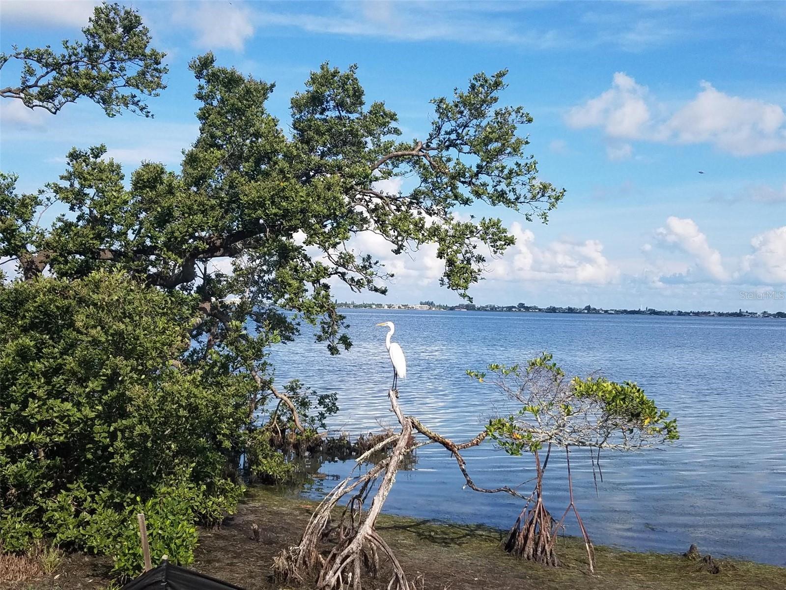 379 ARUBA CIR #301, BRADENTON, FL, 34209