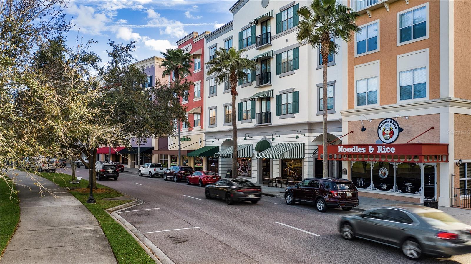 2168 FLORIDA SOAPBERRY BLVD, ORLANDO, FL, 32828