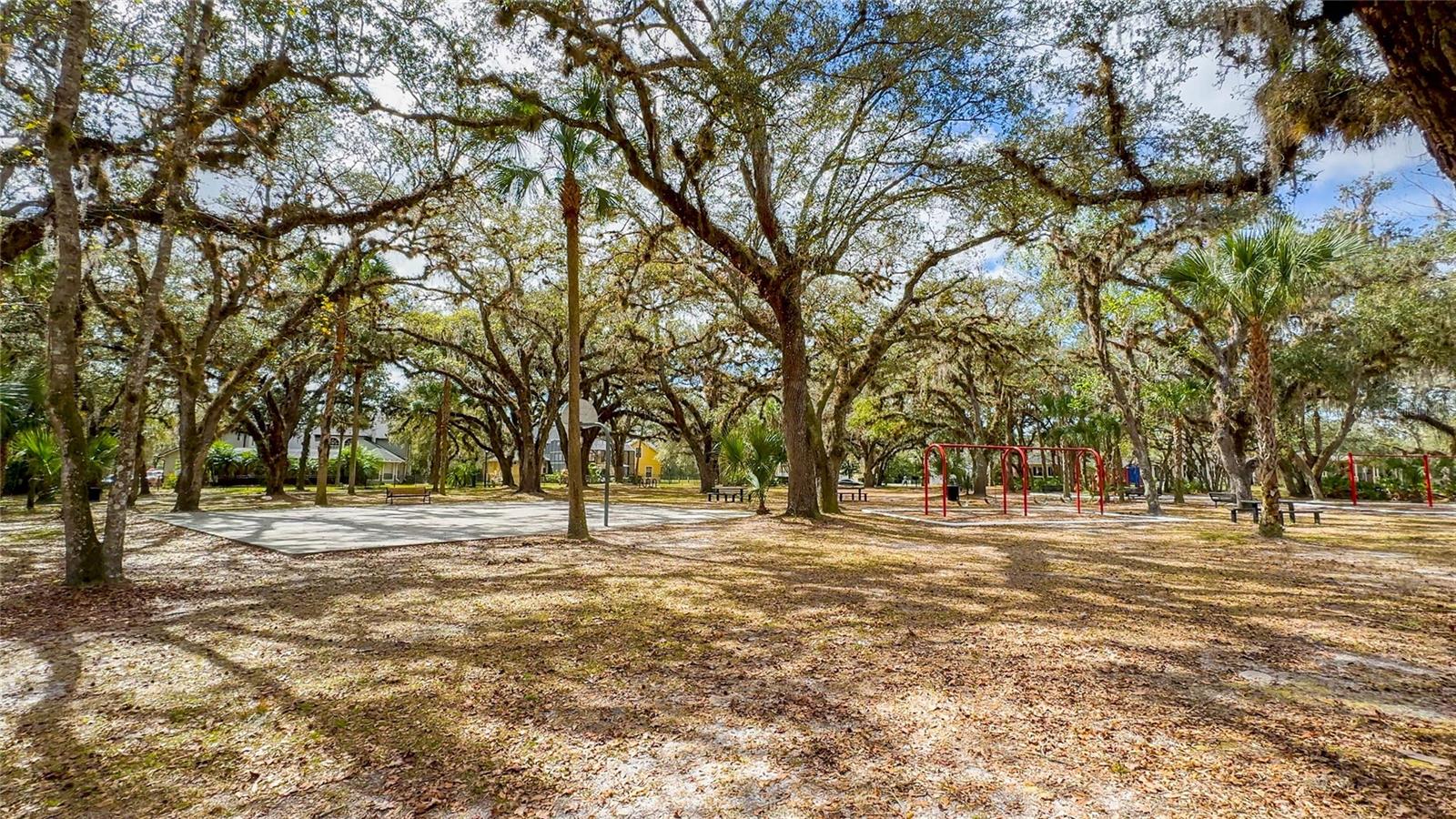 2168 FLORIDA SOAPBERRY BLVD, ORLANDO, FL, 32828