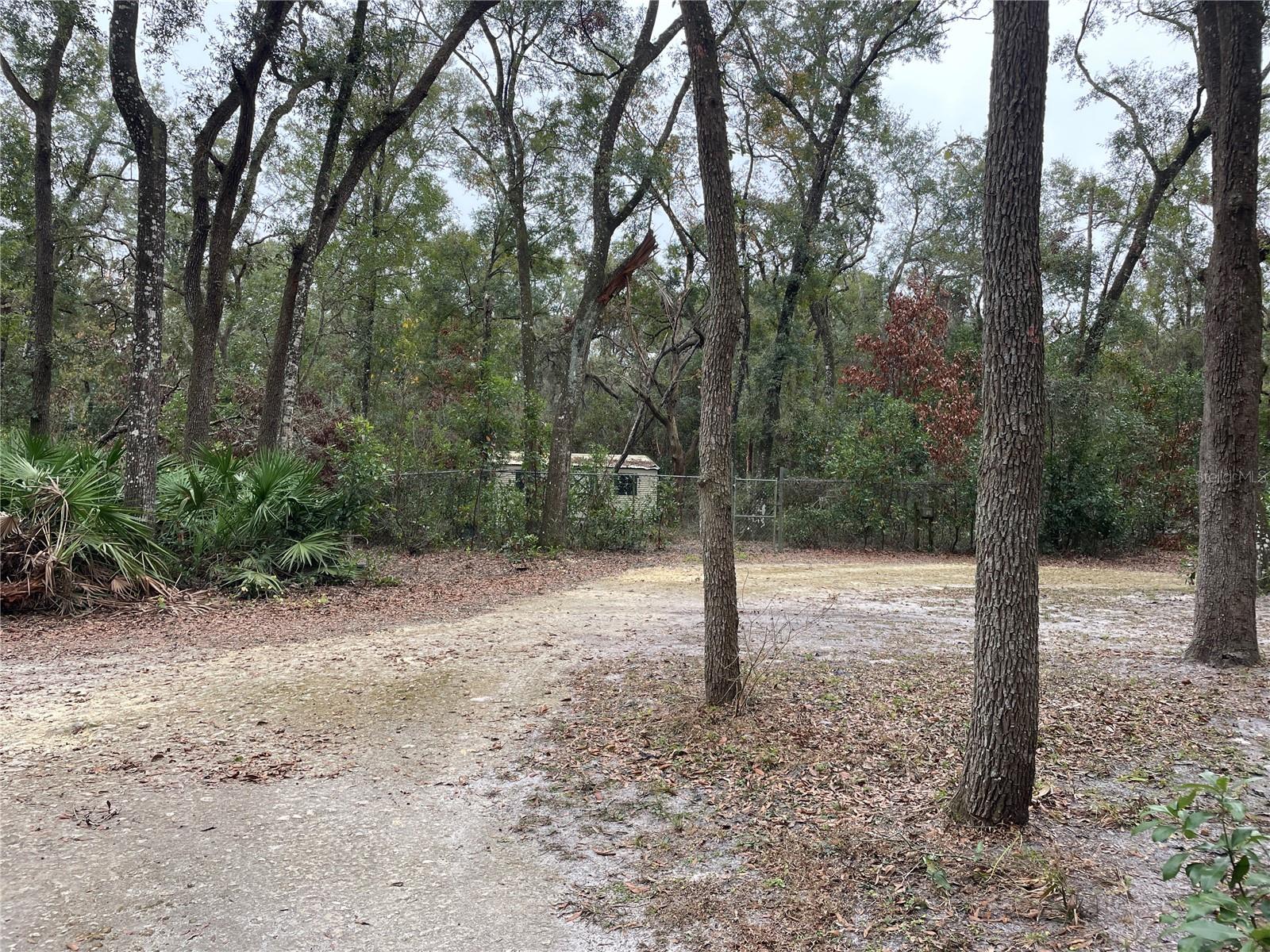 15050 NW 83RD TER, TRENTON, FL, 32693