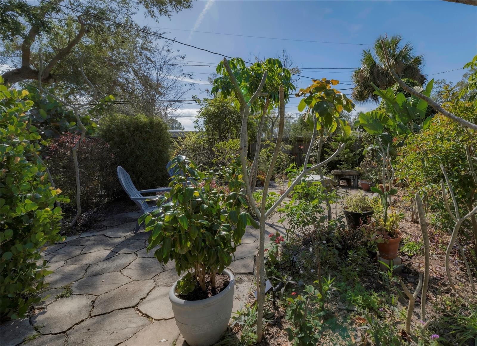 631 SAN ROY DR S, DUNEDIN, FL, 34698