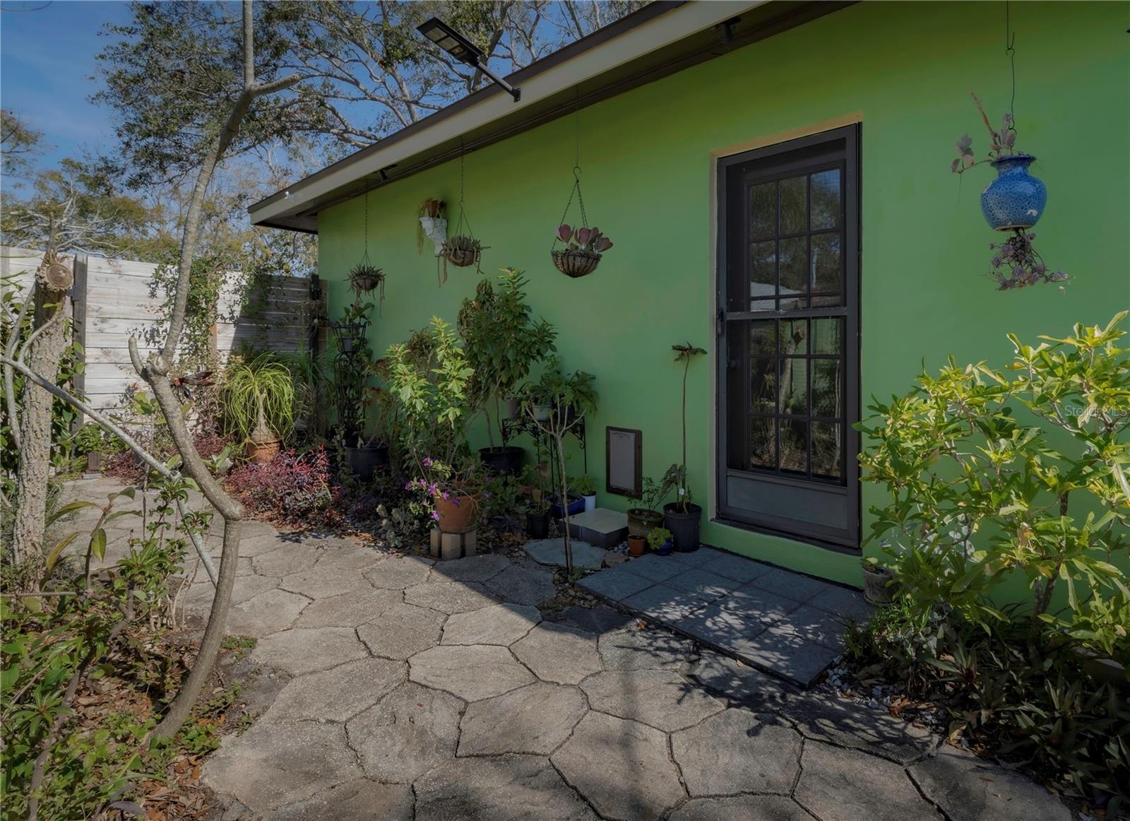 631 SAN ROY DR S, DUNEDIN, FL, 34698