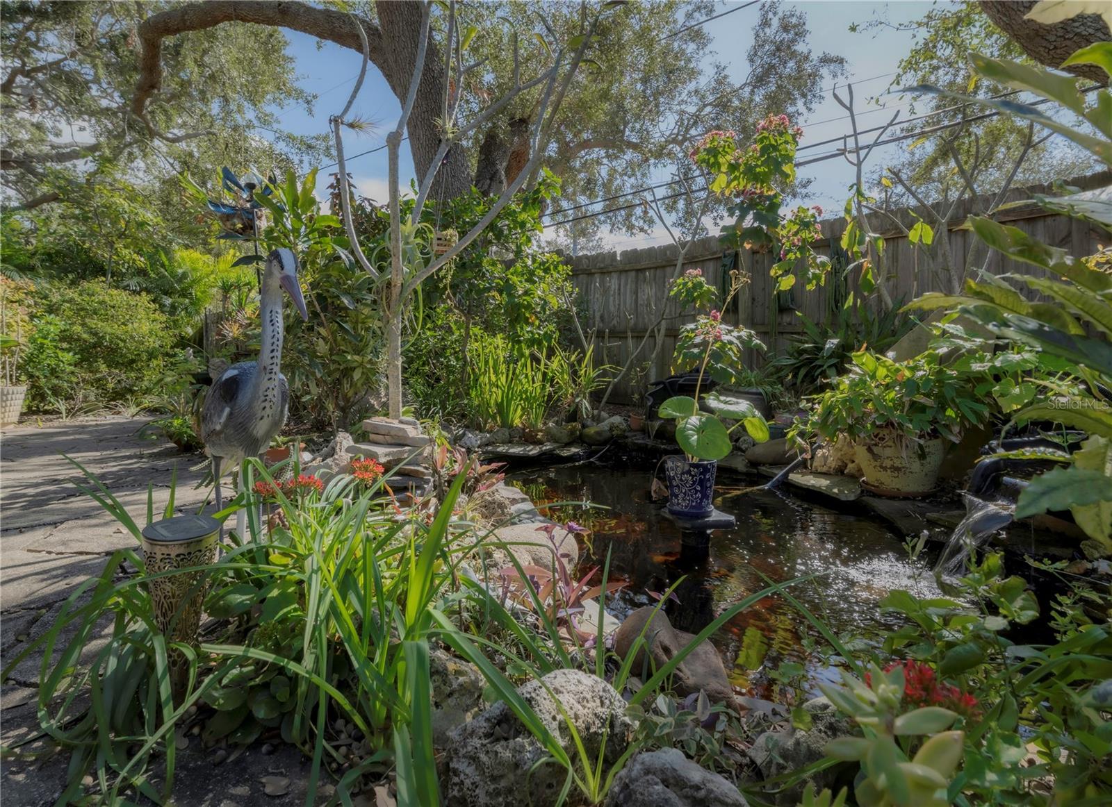 631 SAN ROY DR S, DUNEDIN, FL, 34698