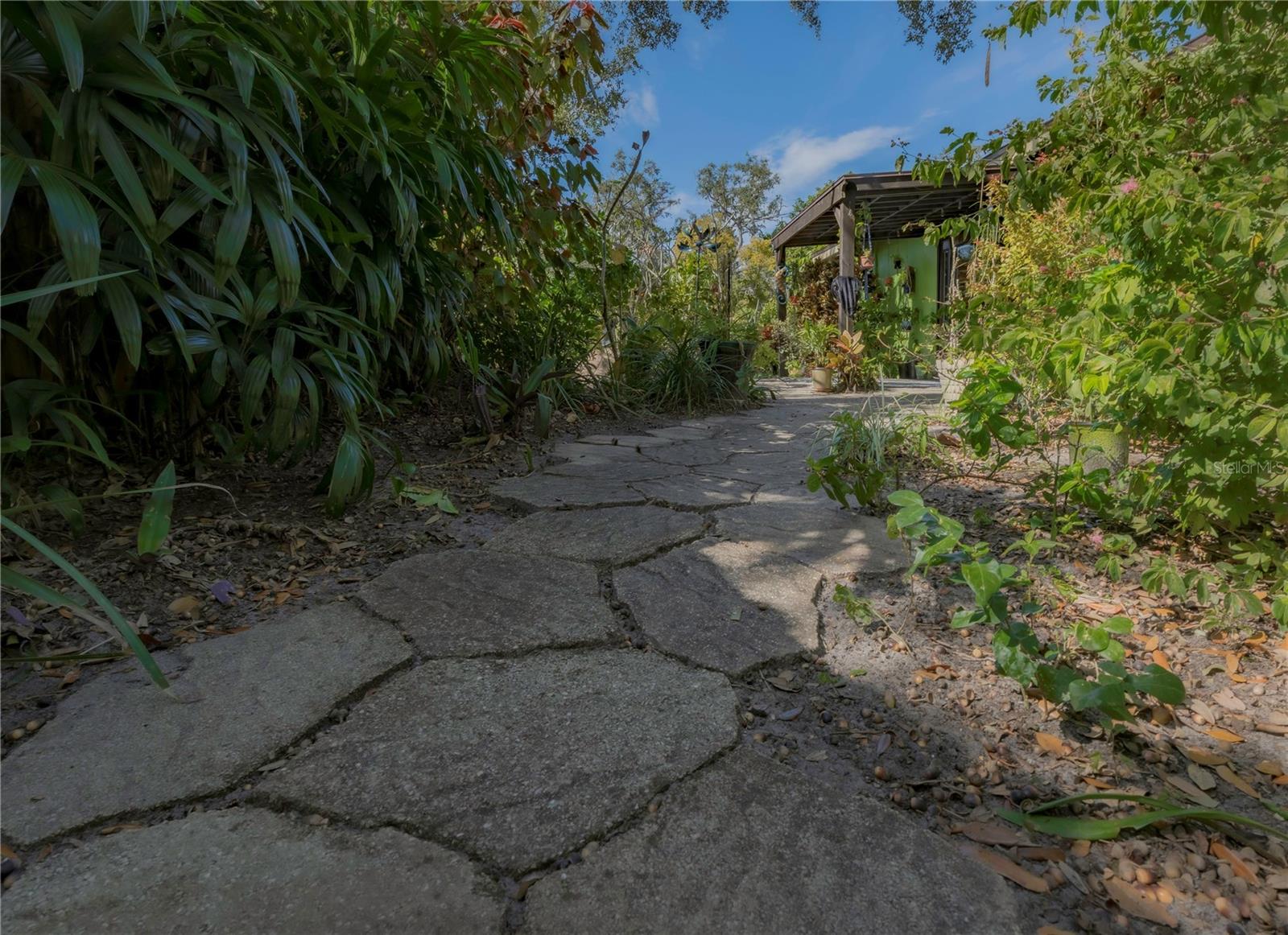 631 SAN ROY DR S, DUNEDIN, FL, 34698