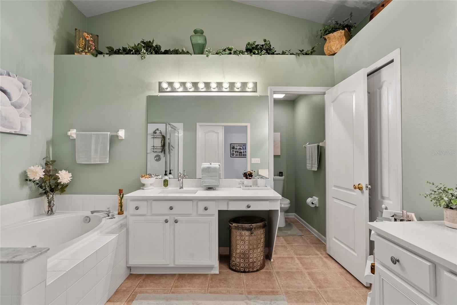 25237 LEXINGTON OAKS BLVD, WESLEY CHAPEL, FL, 33544