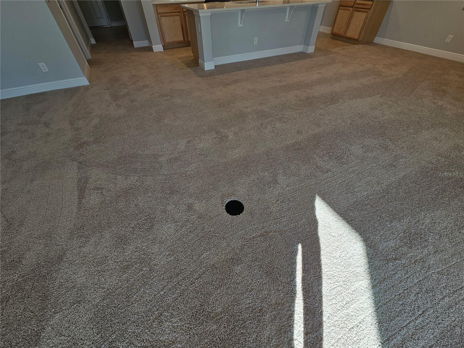 14521 CRESTAVISTA AVE, CLERMONT, FL, 34714