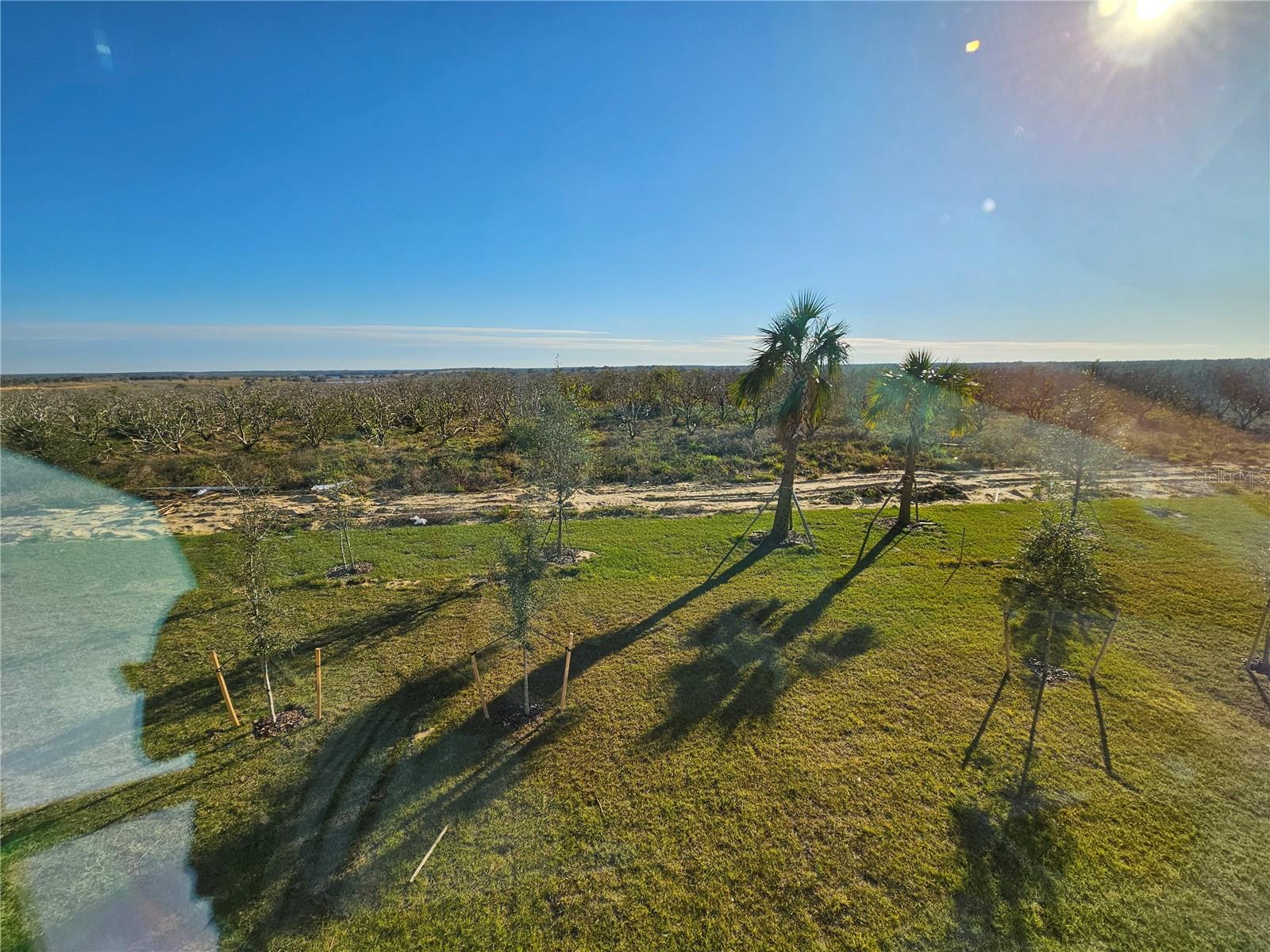 14521 CRESTAVISTA AVE, CLERMONT, FL, 34714