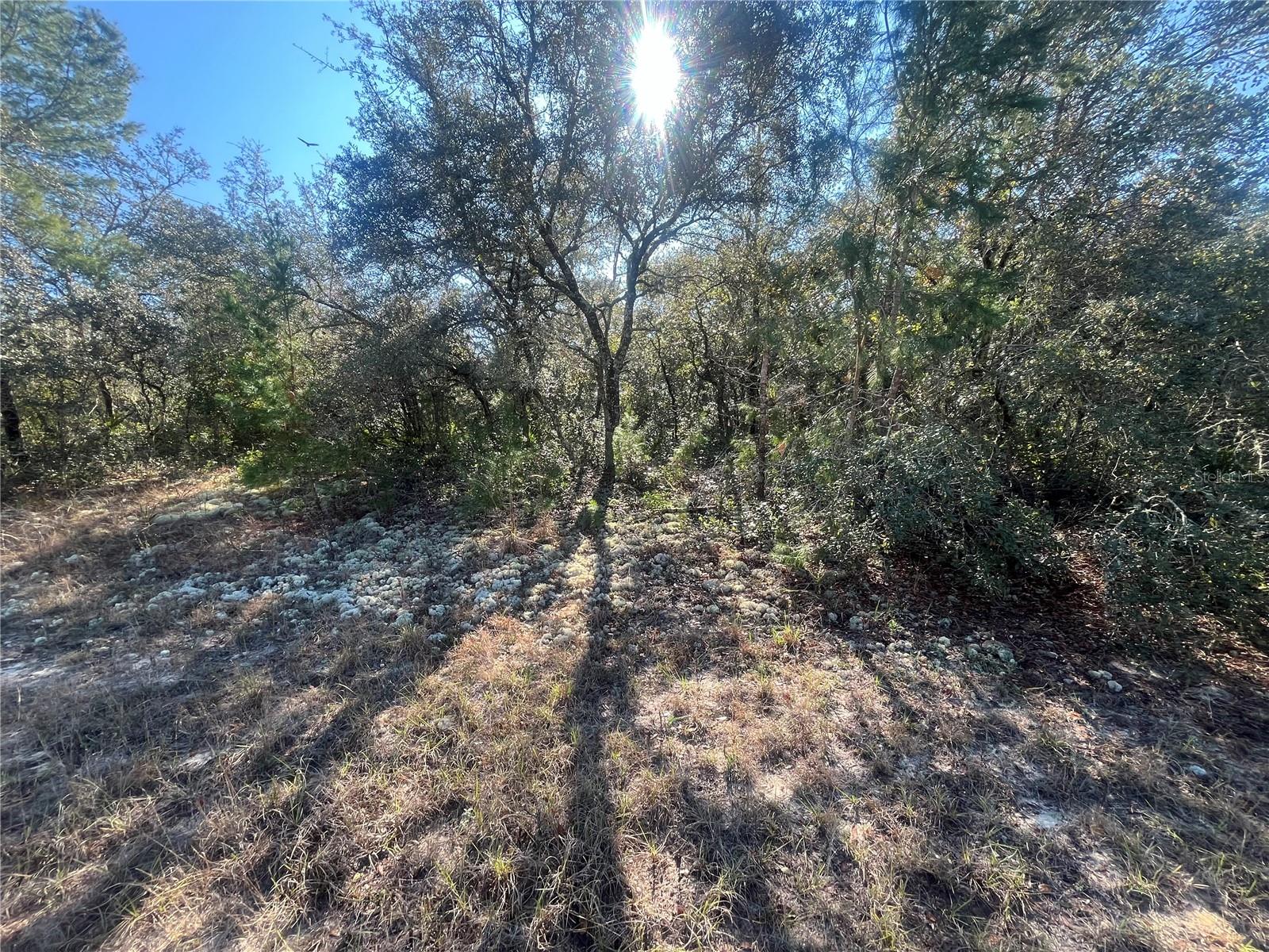 13589 SW 27TH CIR, OCALA, FL, 34473