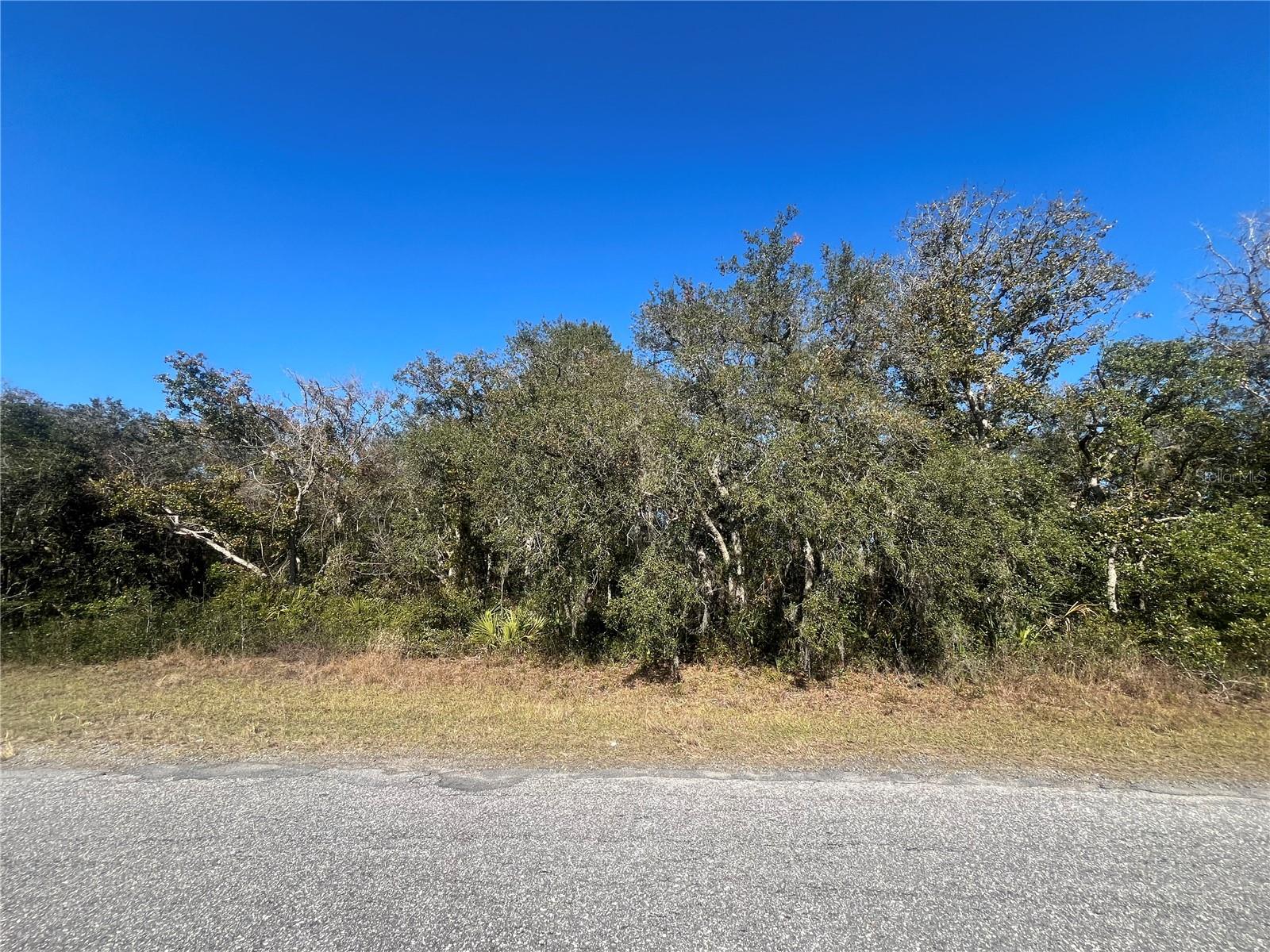 13589 SW 27TH CIR, OCALA, FL, 34473