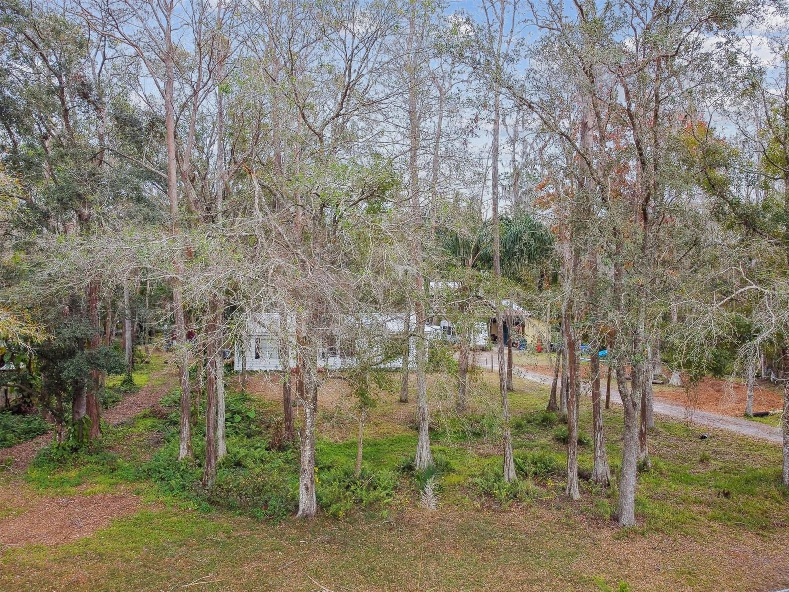 26734 DEACON LOOP, WESLEY CHAPEL, FL, 33544