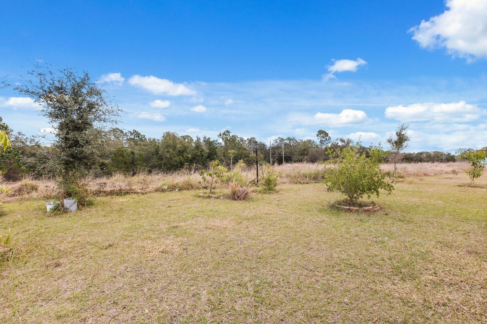 12066 CALLICARPA LN, LEESBURG, FL, 34788