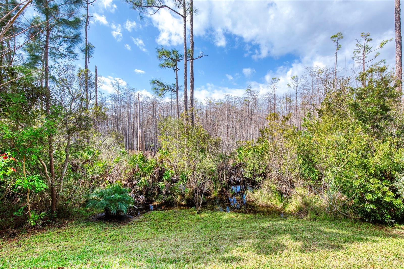 751 ALDENHAM LN, ORMOND BEACH, FL, 32174