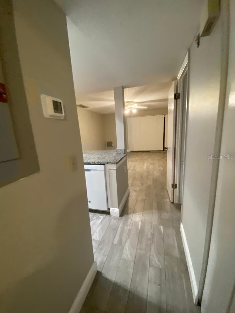 14037 NOTREVILLE WAY, TAMPA, FL, 33624
