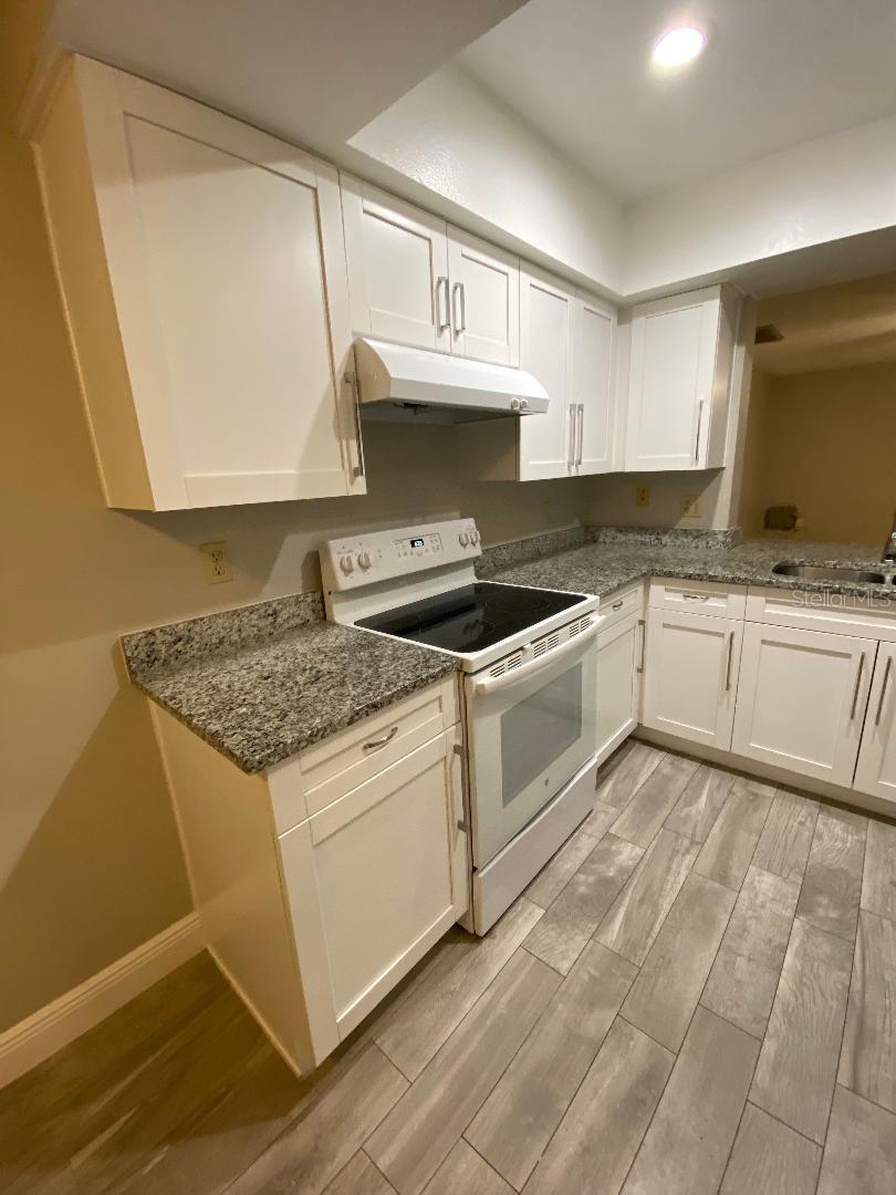 14037 NOTREVILLE WAY, TAMPA, FL, 33624