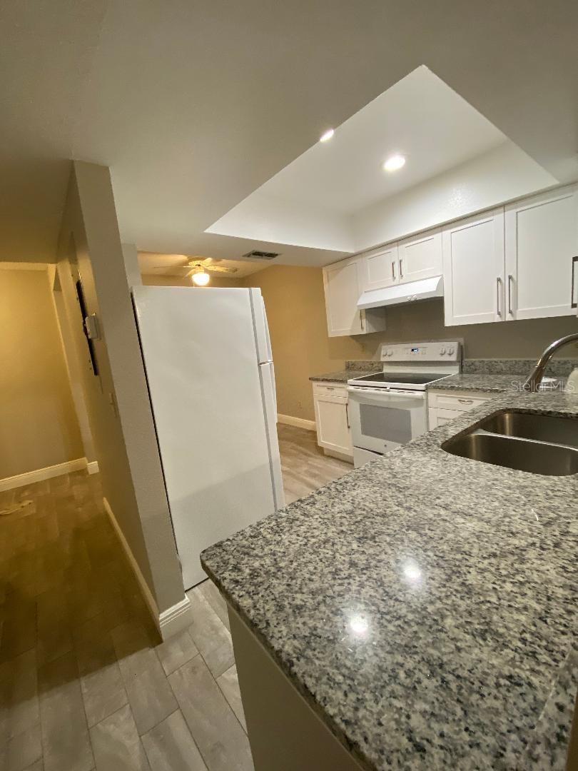 14037 NOTREVILLE WAY, TAMPA, FL, 33624