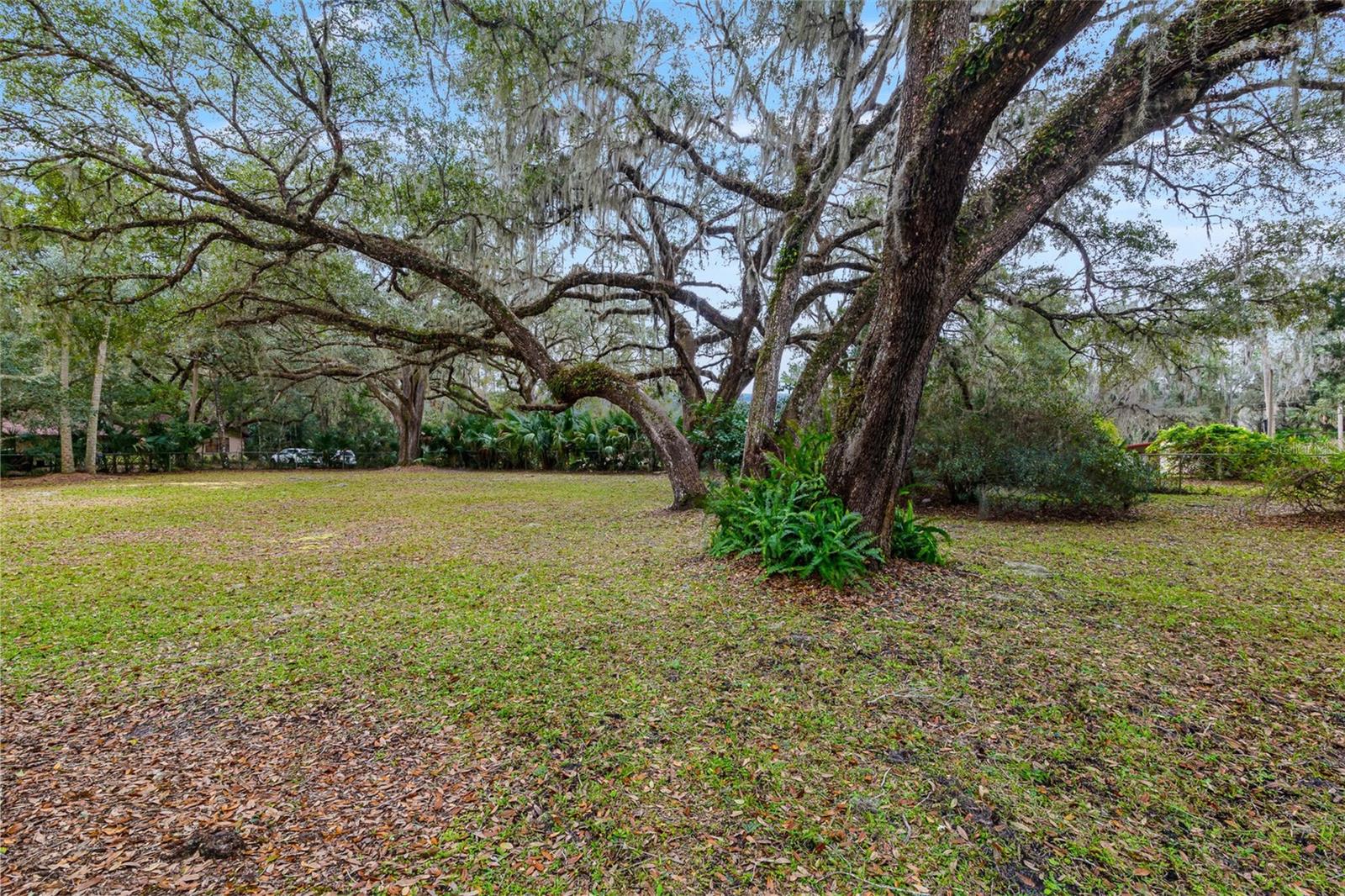 107 NE EVANS CT, MICANOPY, FL, 32667