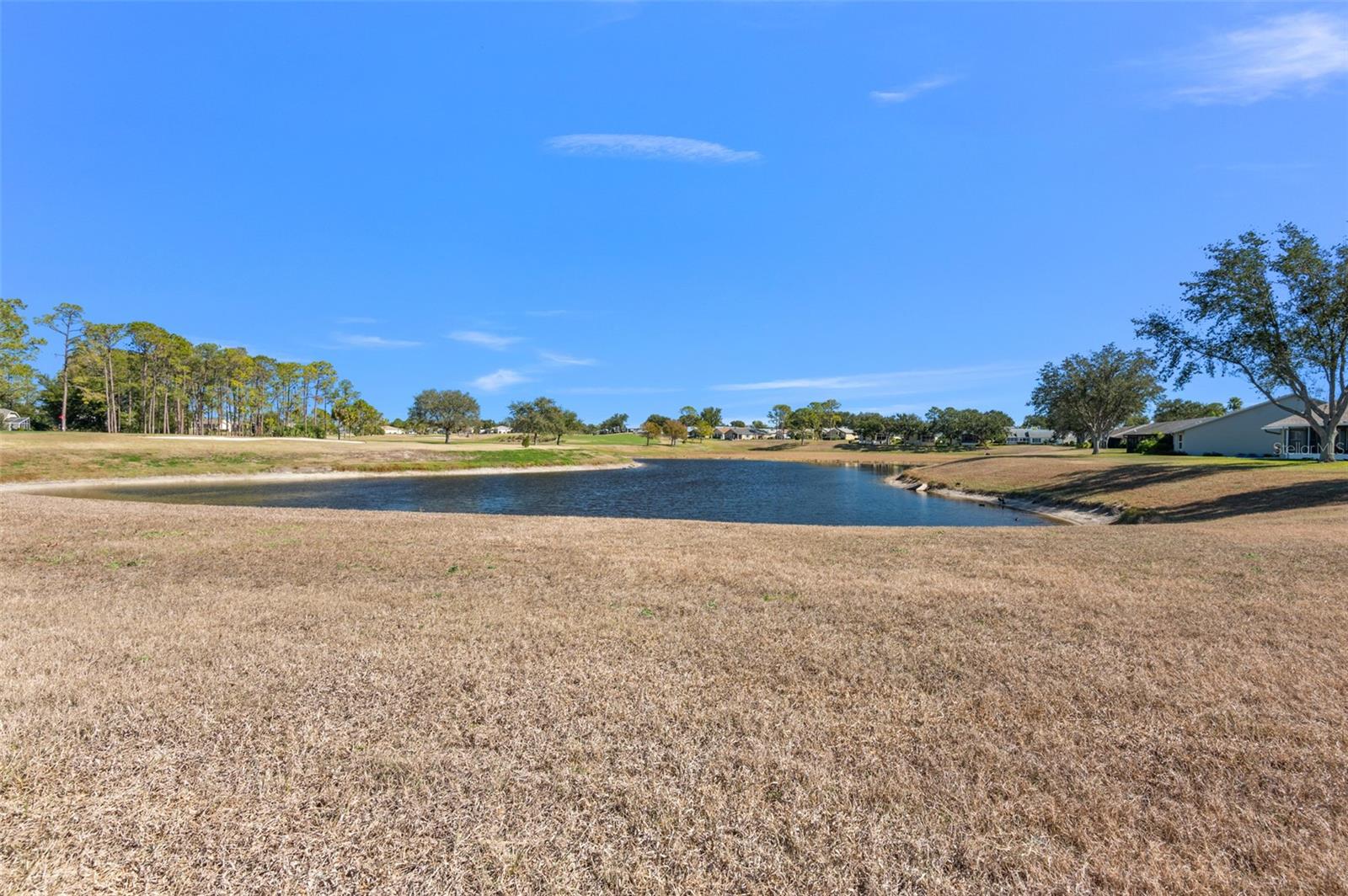 18036 BAYWOOD FOREST DR, HUDSON, FL, 34667