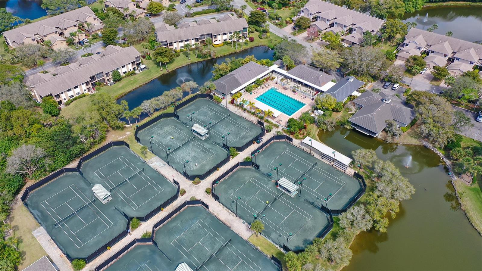 1620 STARLING DR #204, SARASOTA, FL, 34231