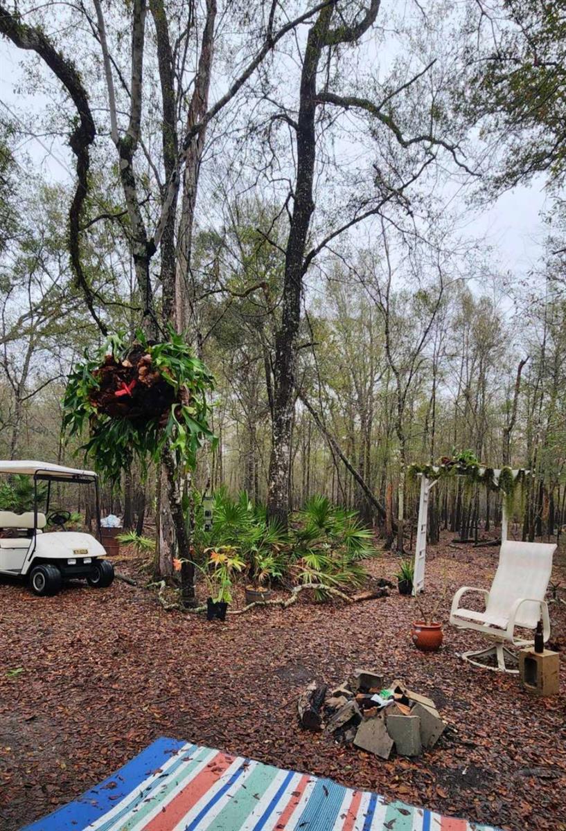 3190 NW 70 WAY, BELL, FL, 32619