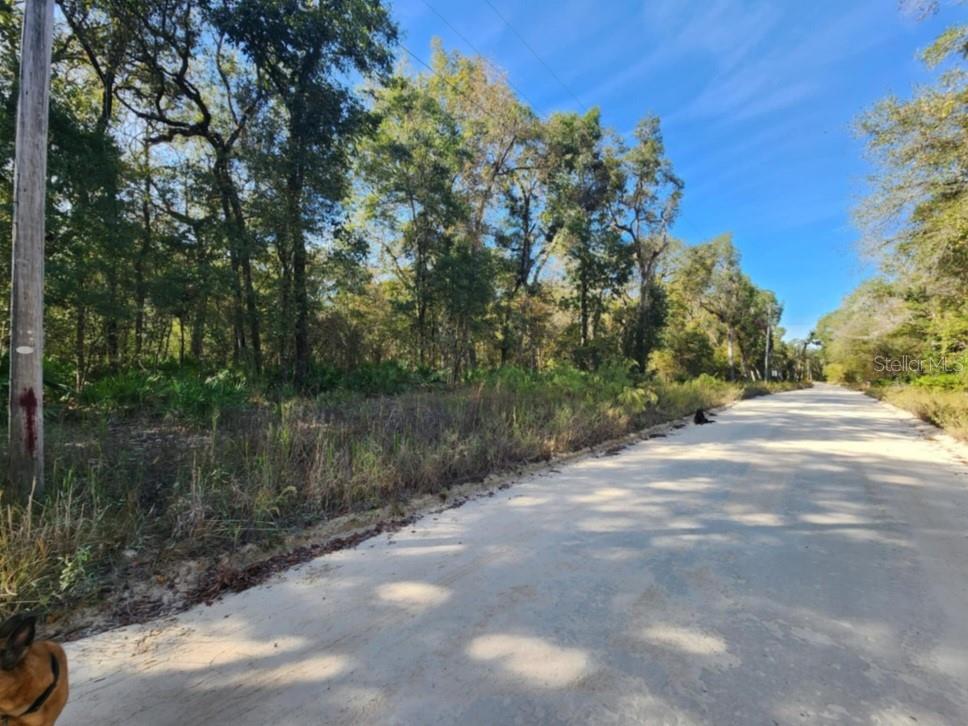 3190 NW 70 WAY, BELL, FL, 32619