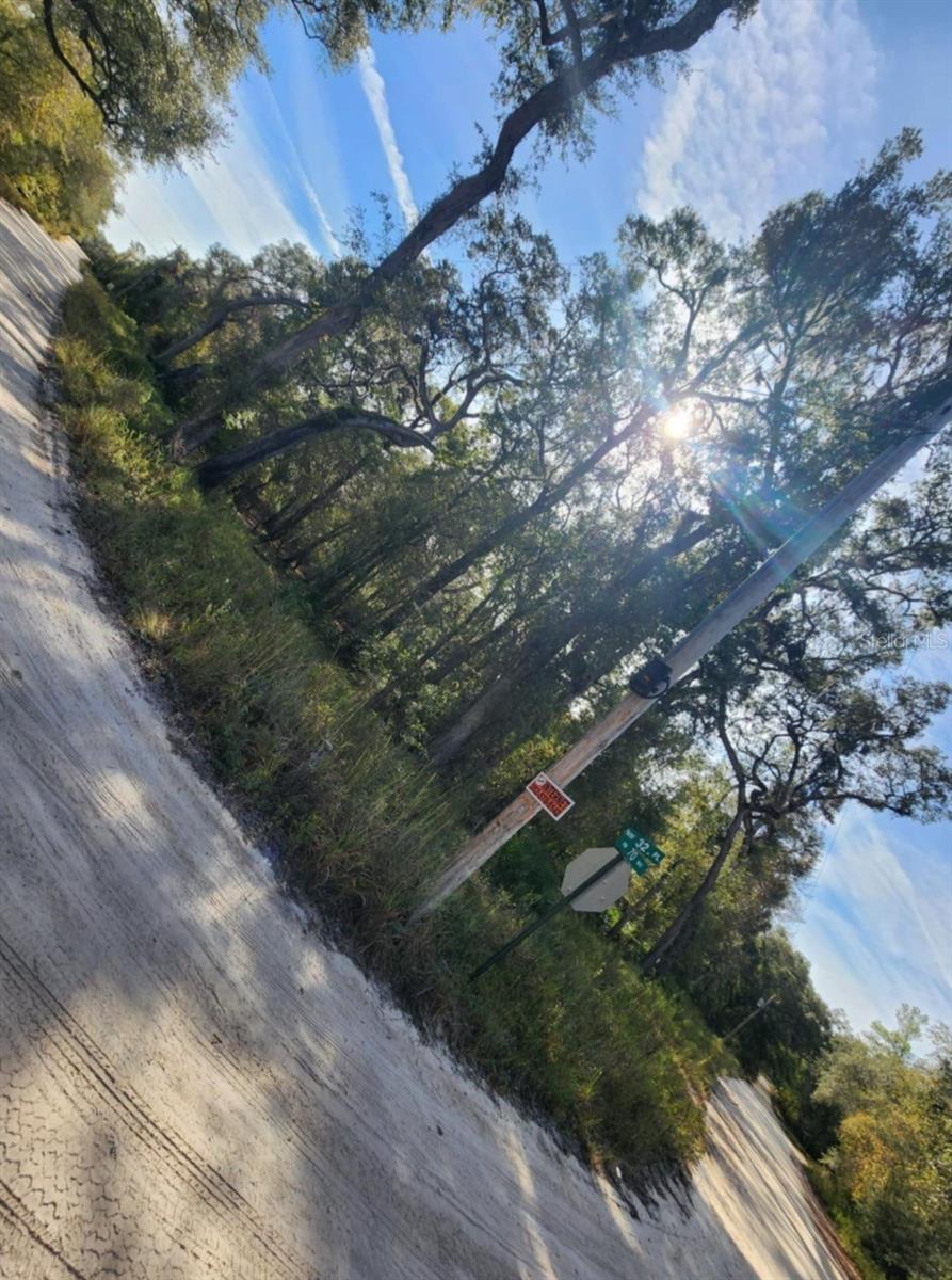 3190 NW 70 WAY, BELL, FL, 32619