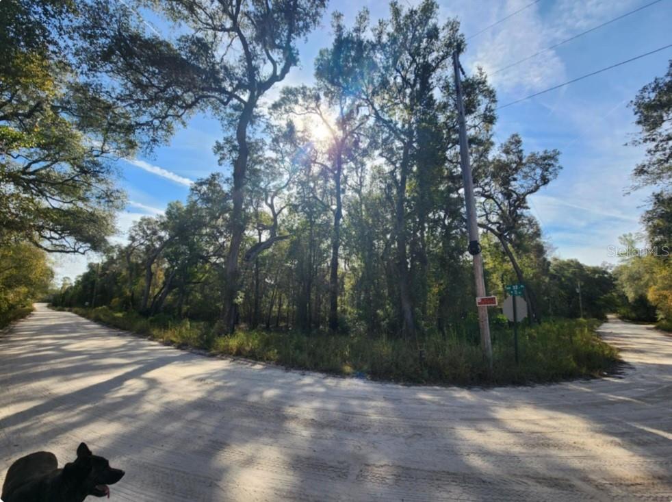 3190 NW 70 WAY, BELL, FL, 32619