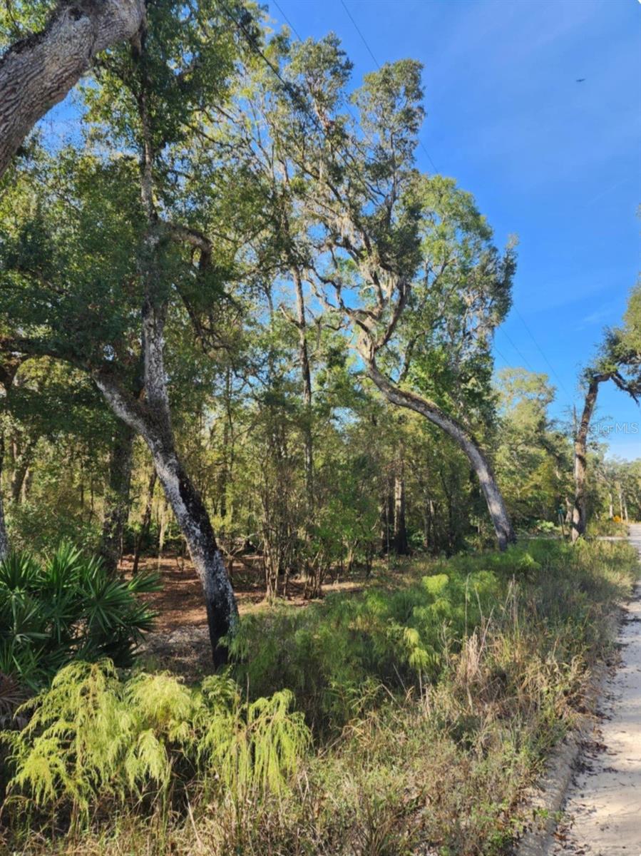 3190 NW 70 WAY, BELL, FL, 32619