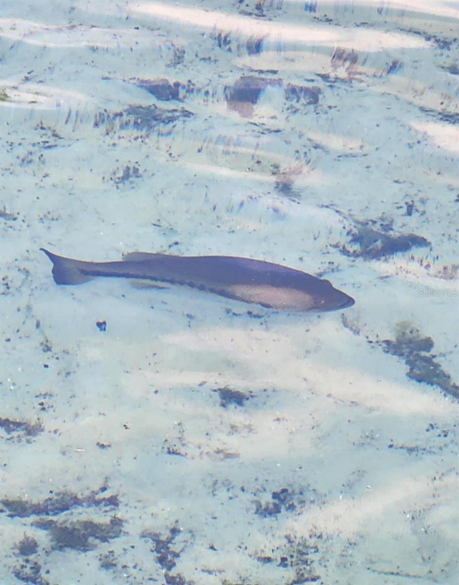 3190 NW 70 WAY, BELL, FL, 32619