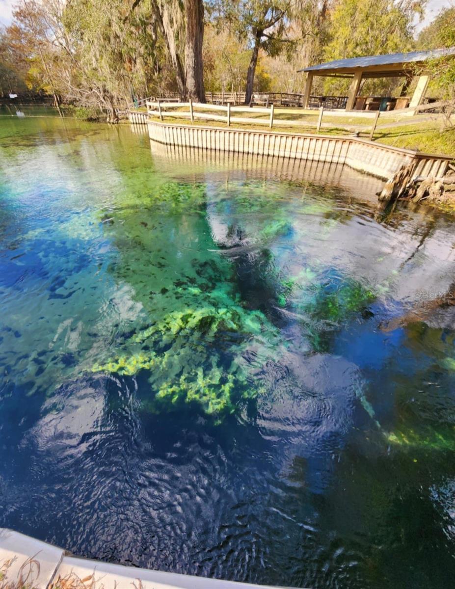 3190 NW 70 WAY, BELL, FL, 32619