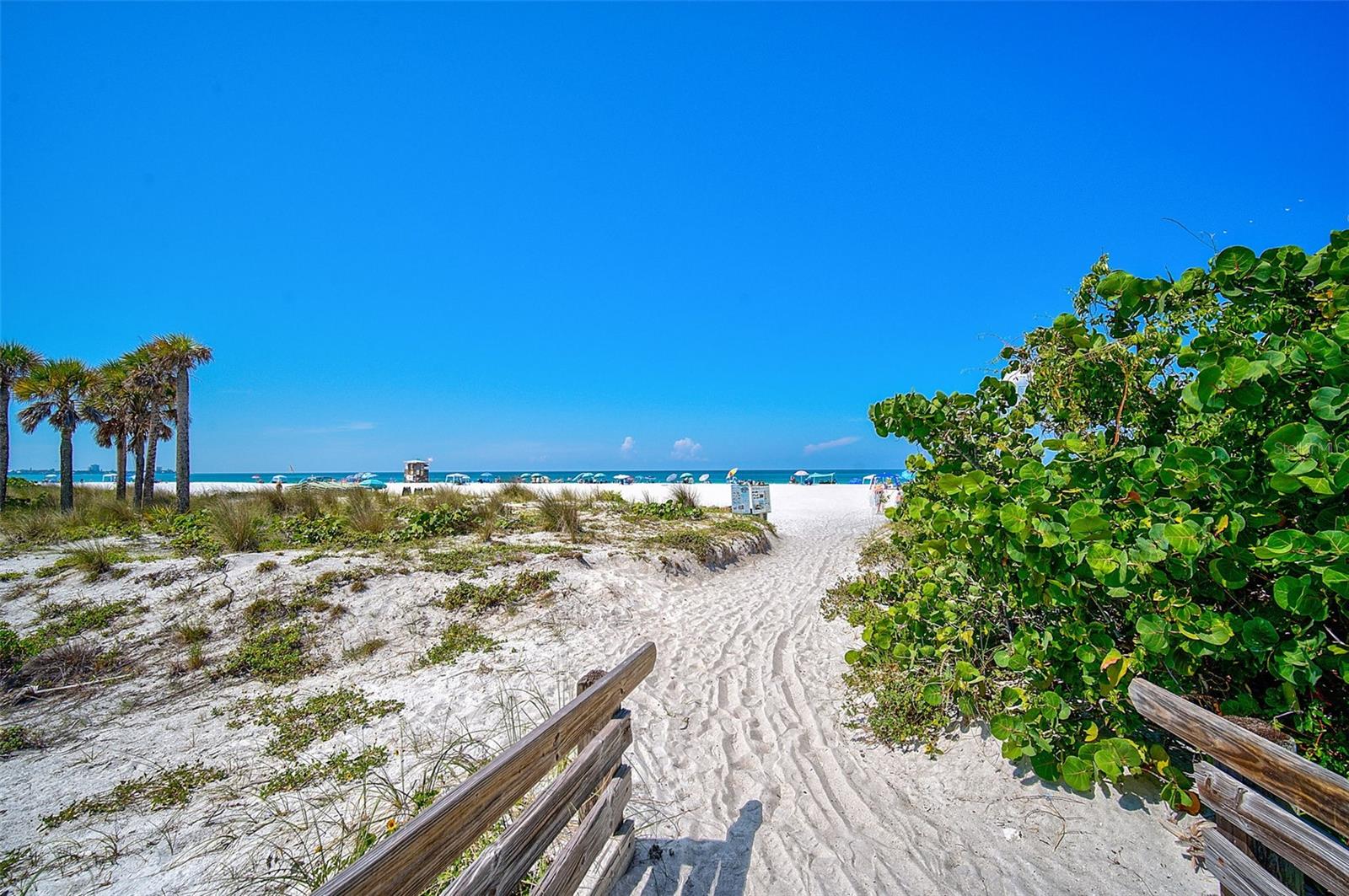 300 S PINEAPPLE AVE #801N, SARASOTA, FL, 34236