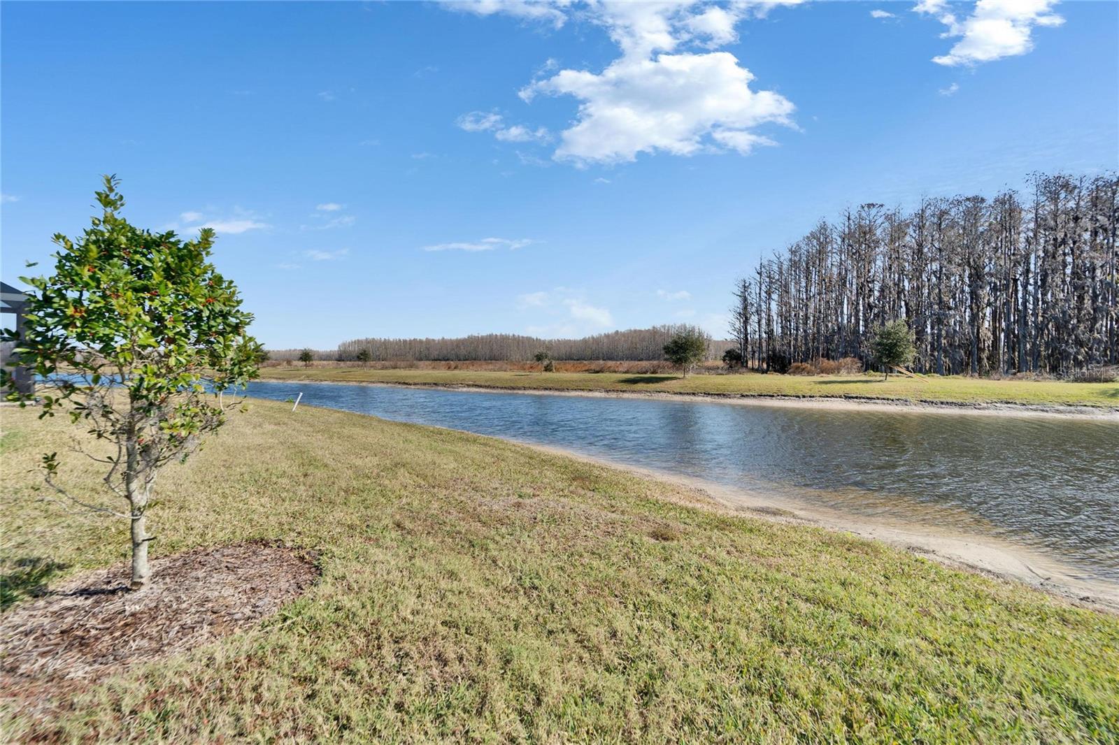 19537 SHIP WHEEL WAY, LAND O LAKES, FL, 34638