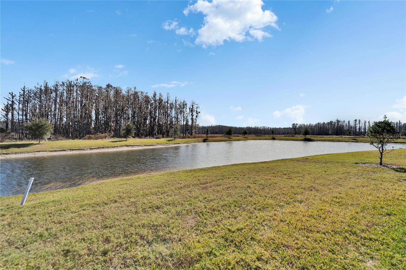 19537 SHIP WHEEL WAY, LAND O LAKES, FL, 34638