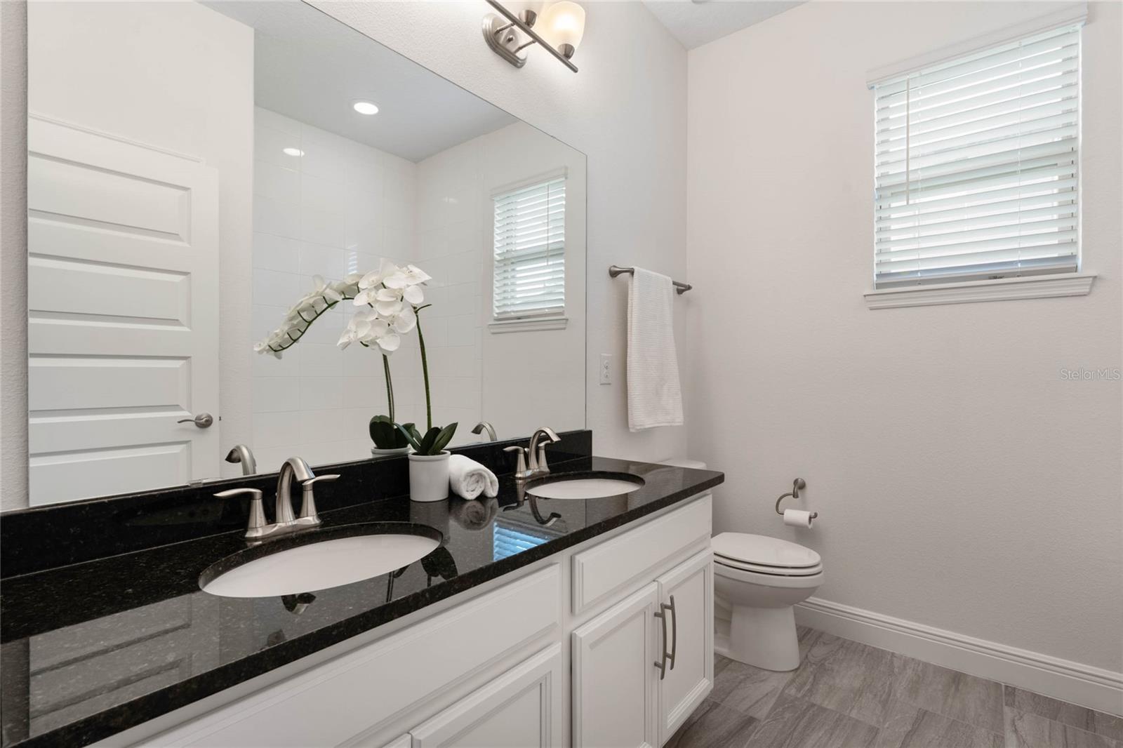 10289 MERRYMEETING BAY DR, WINTER GARDEN, FL, 34787