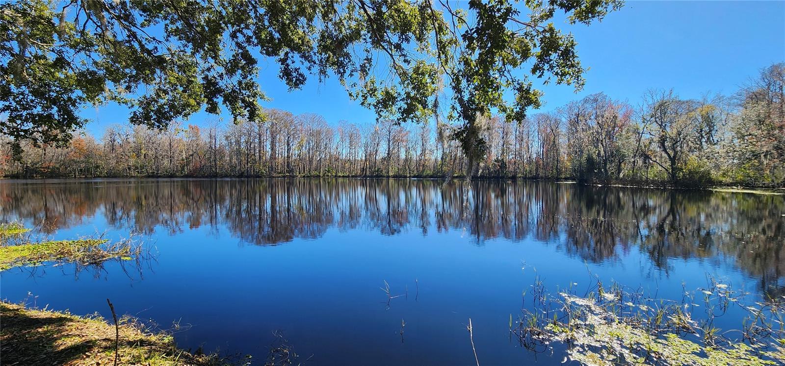 22 BIG OAK LN, WILDWOOD, FL, 34785