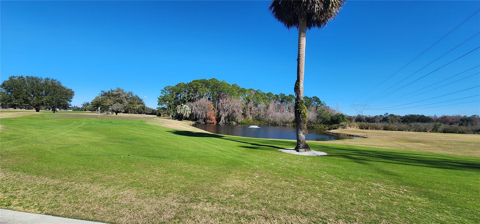 22 BIG OAK LN, WILDWOOD, FL, 34785