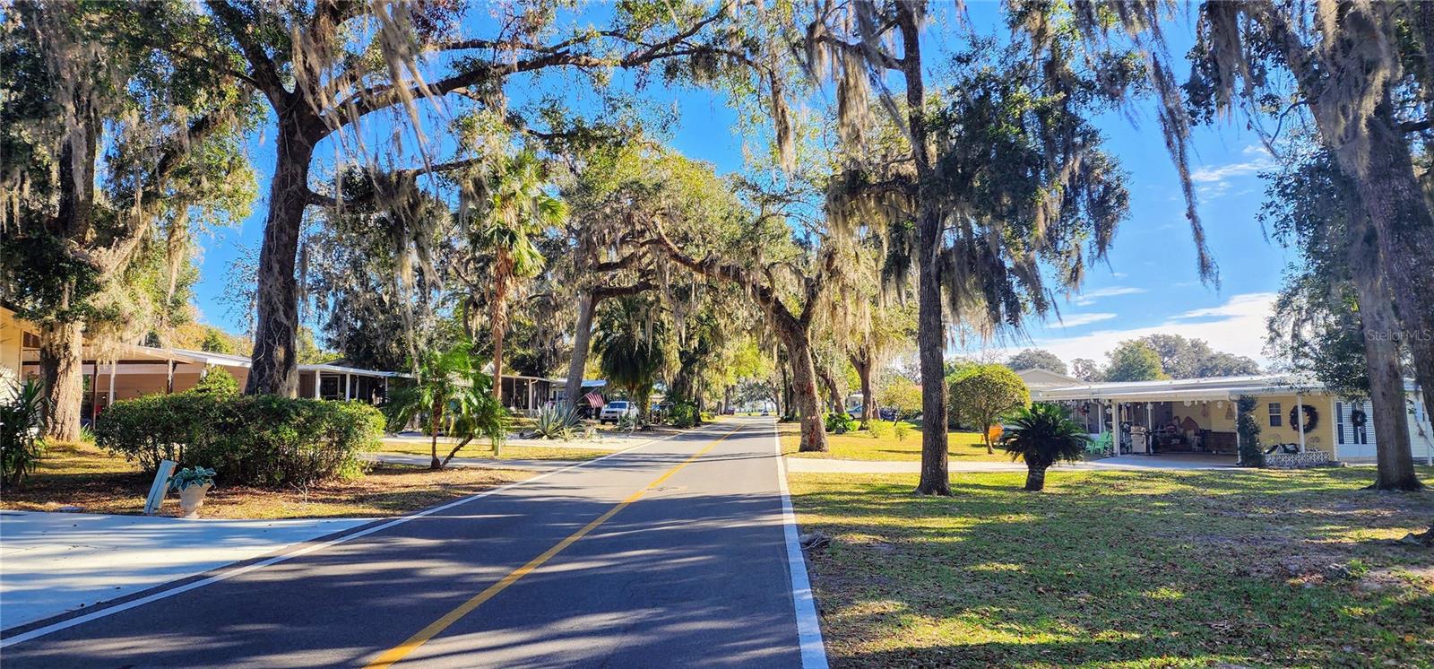 22 BIG OAK LN, WILDWOOD, FL, 34785