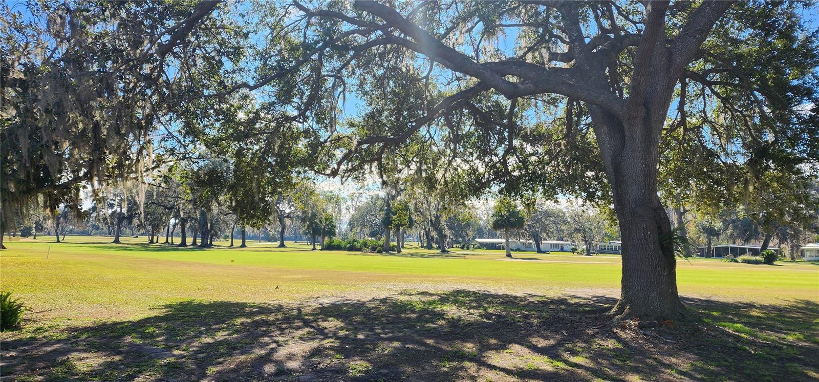 22 BIG OAK LN, WILDWOOD, FL, 34785