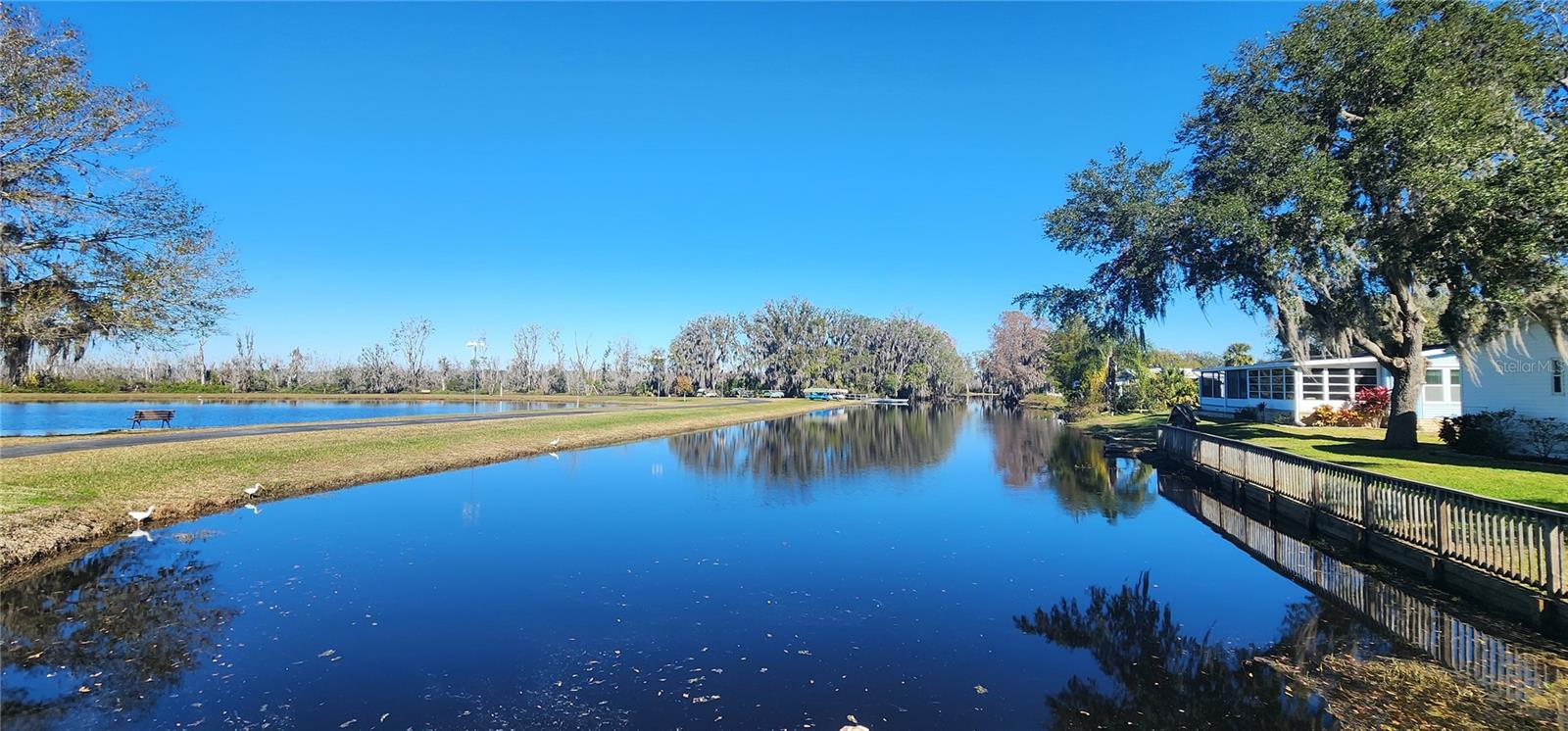 22 BIG OAK LN, WILDWOOD, FL, 34785