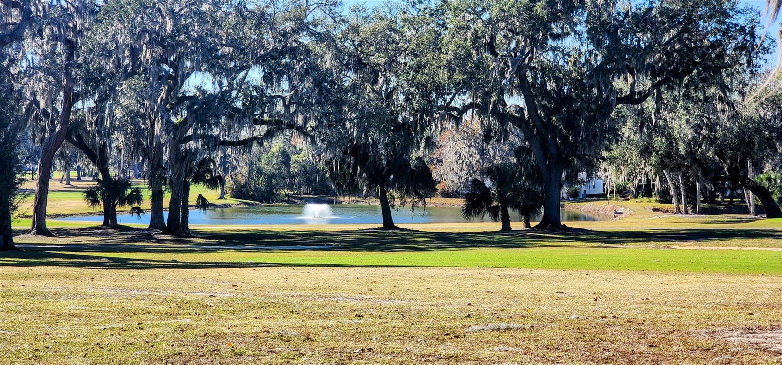 22 BIG OAK LN, WILDWOOD, FL, 34785