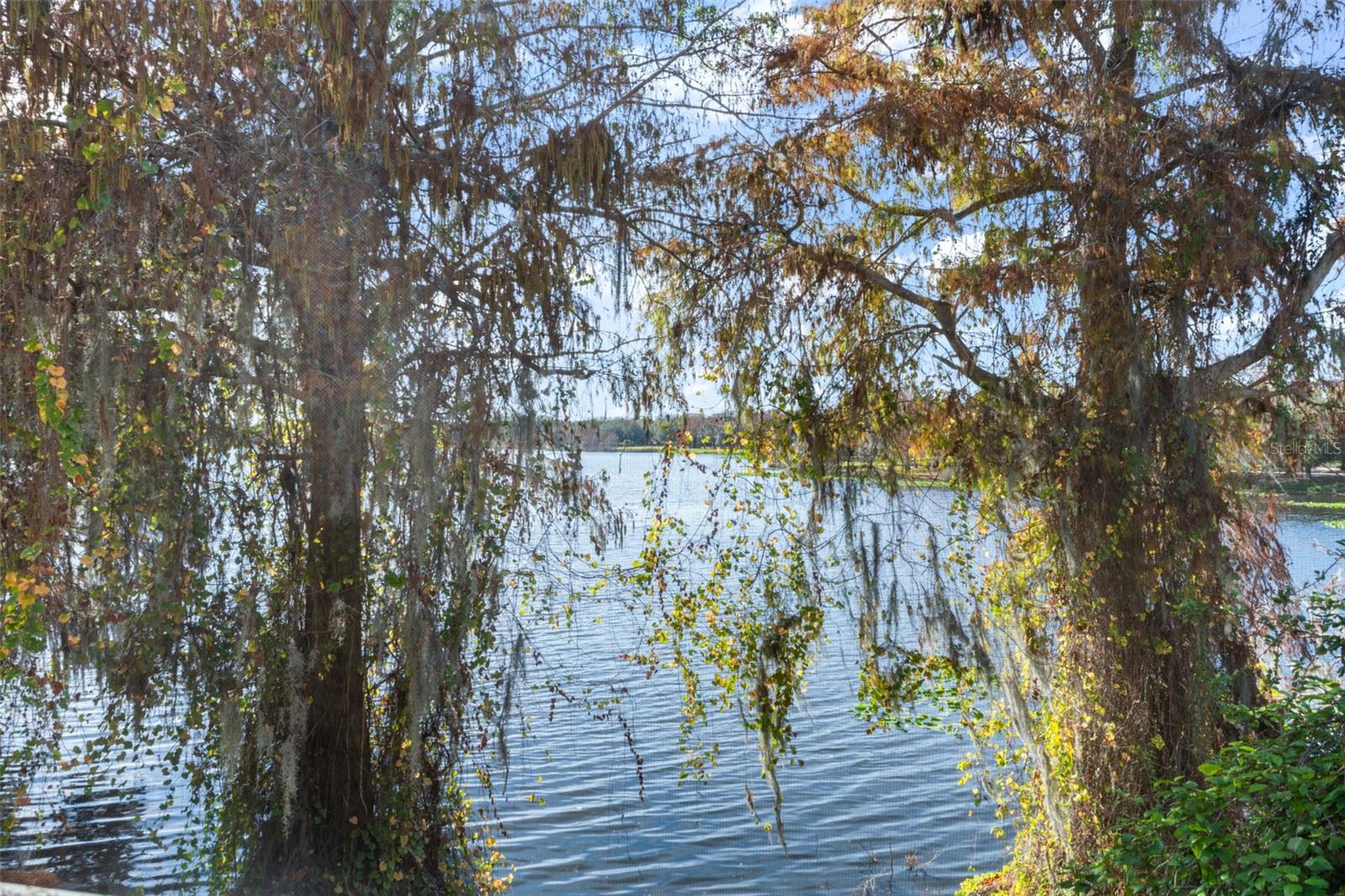 O6269687 Property Photo