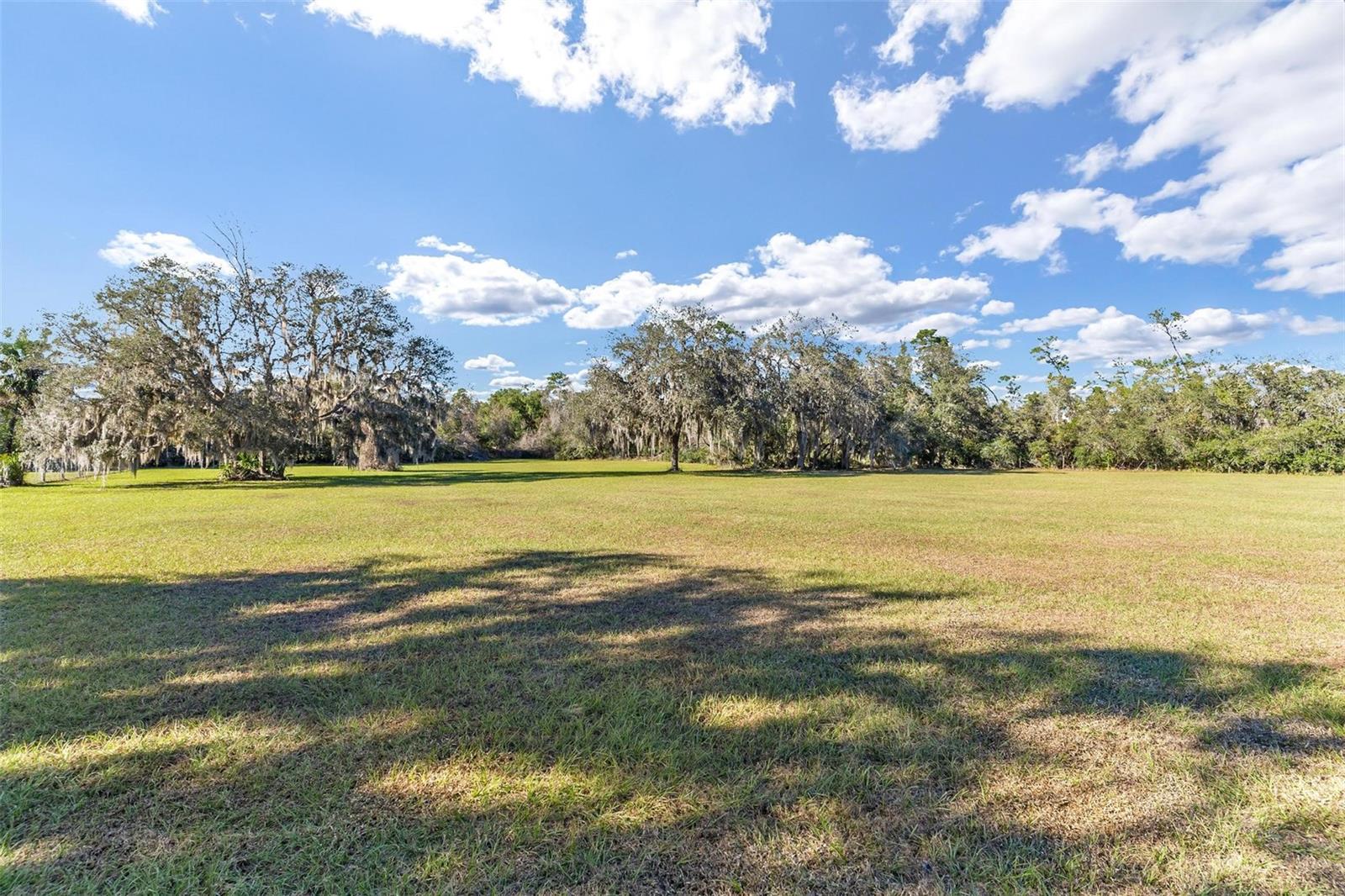 29175 SE HIGHWAY 42, UMATILLA, FL, 32784