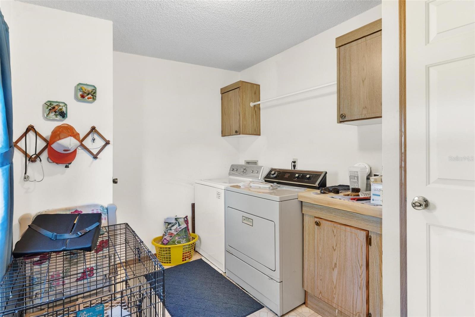 29175 SE HIGHWAY 42, UMATILLA, FL, 32784